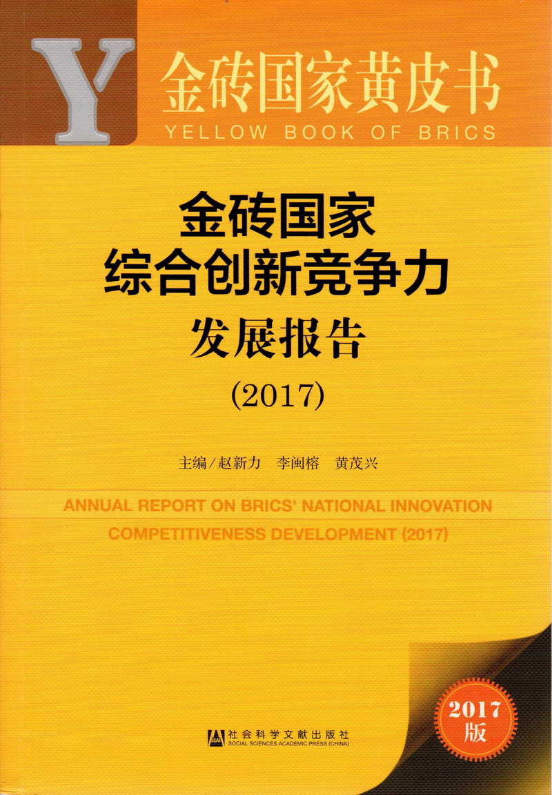 极品抠逼流浆金砖国家综合创新竞争力发展报告（2017）